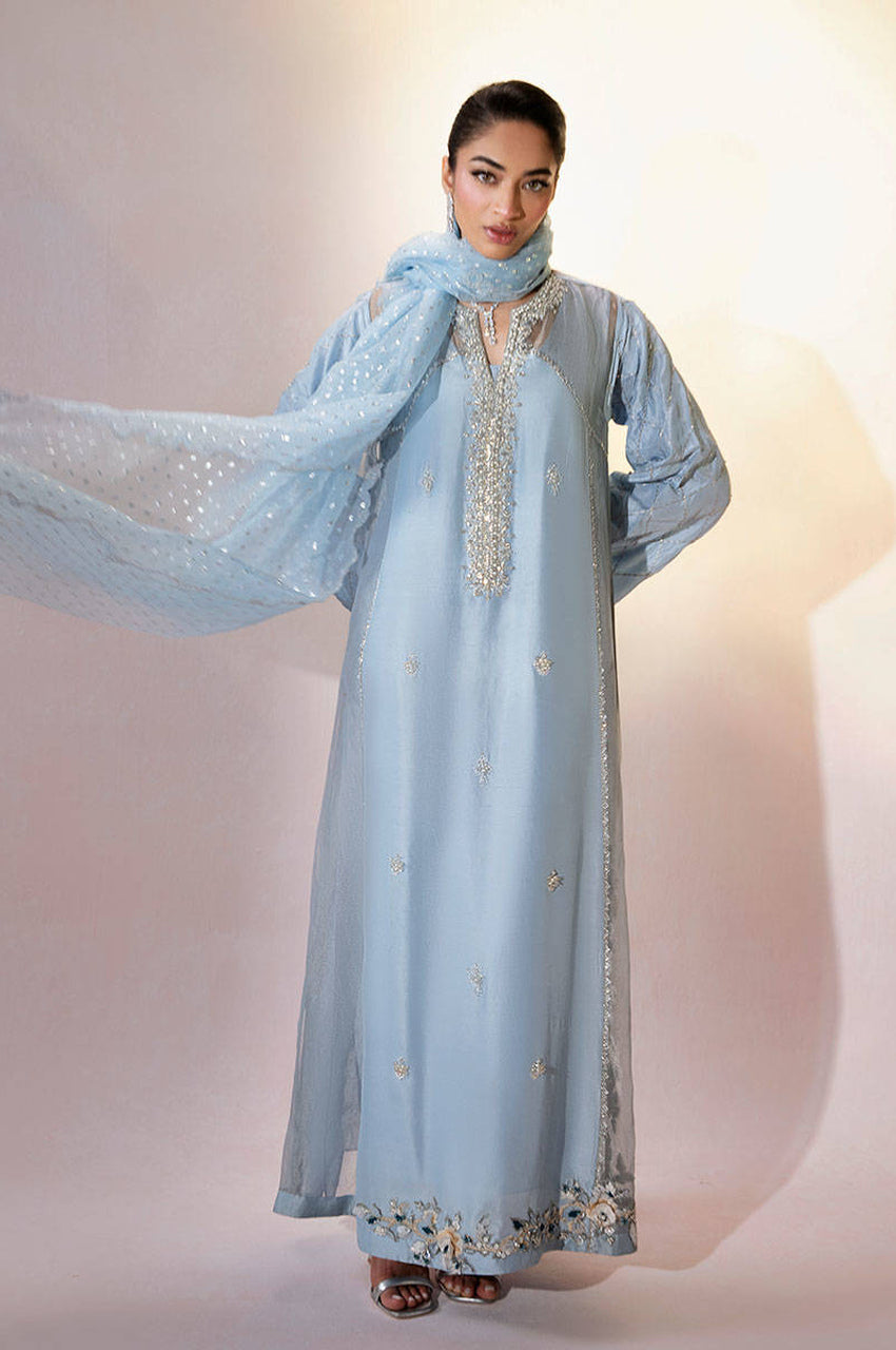 Blue Bird