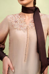 Brown Ombre