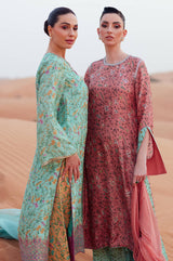 Chantelle - Exhibition