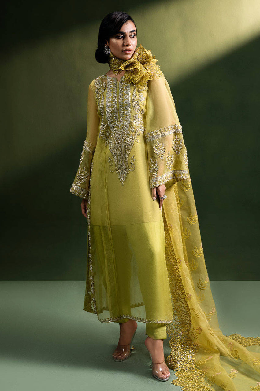 Olive Tuscun - Shirt & Pants