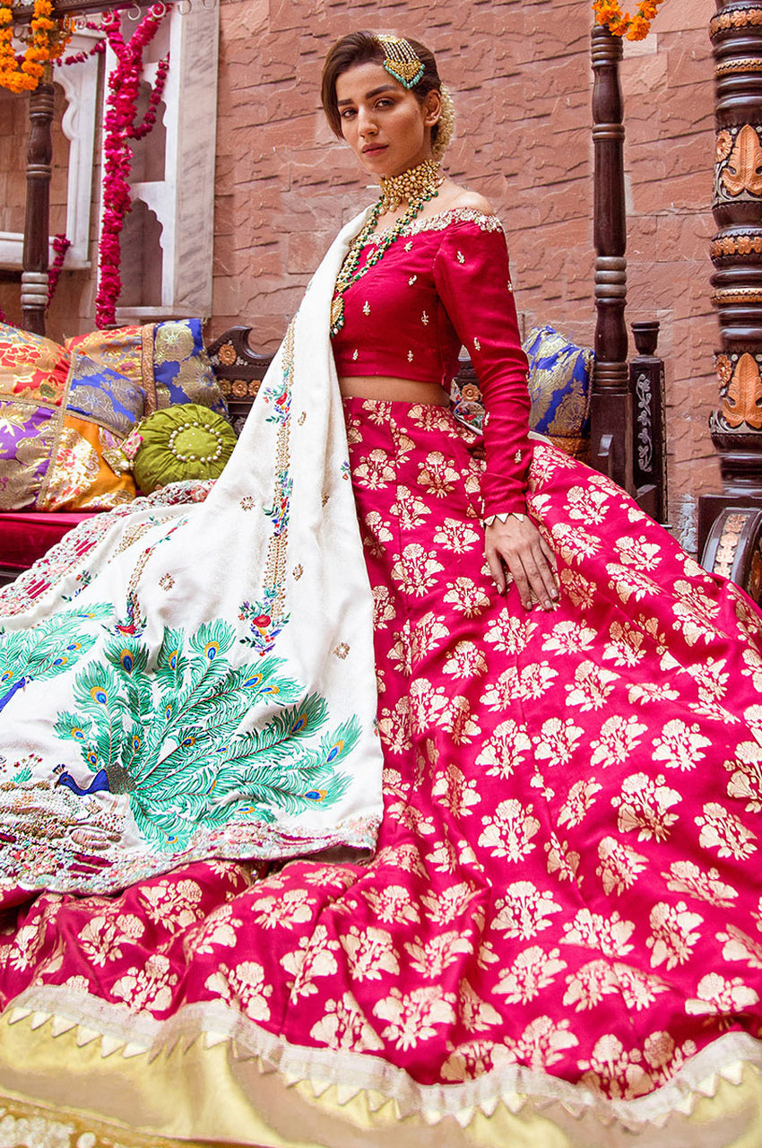 Tanisha - Exhibition
