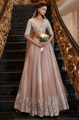 Amal - Choli