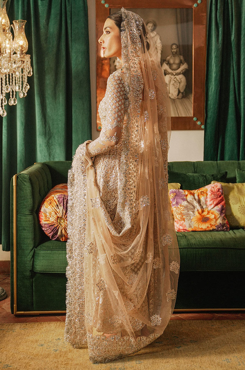 Royal Orchid