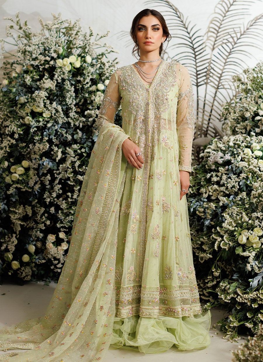 Farah Talib Aziz – Eliza Kiwi Style