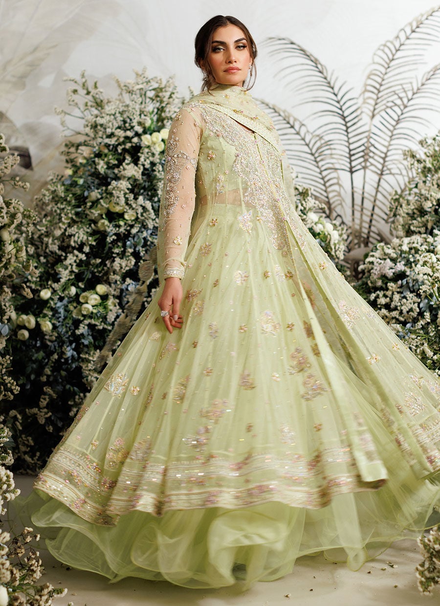 Farah Talib Aziz – Eliza Kiwi Style