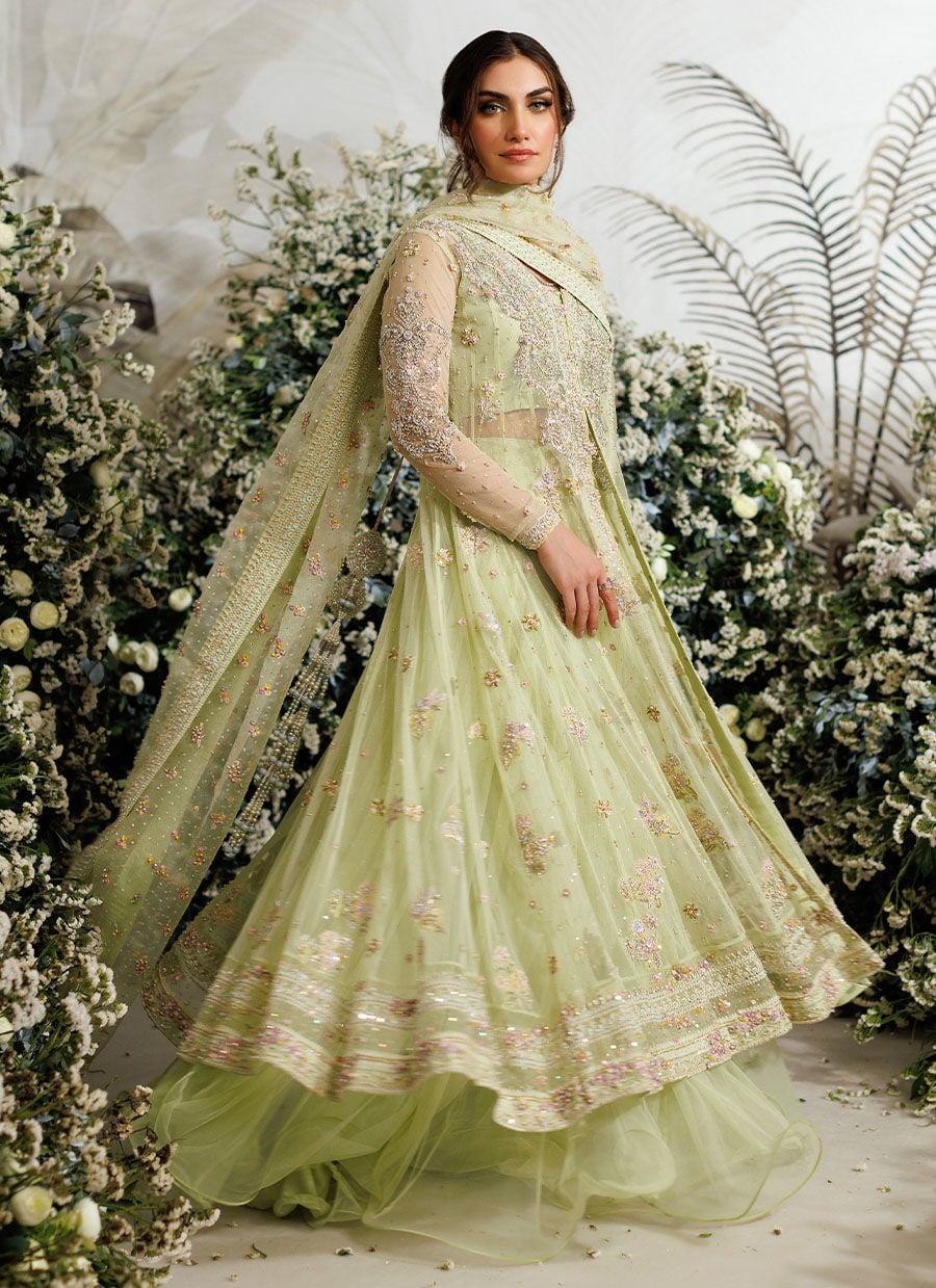 Farah Talib Aziz – Eliza Kiwi Style