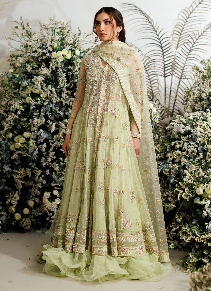 Farah Talib Aziz – Eliza Kiwi Style
