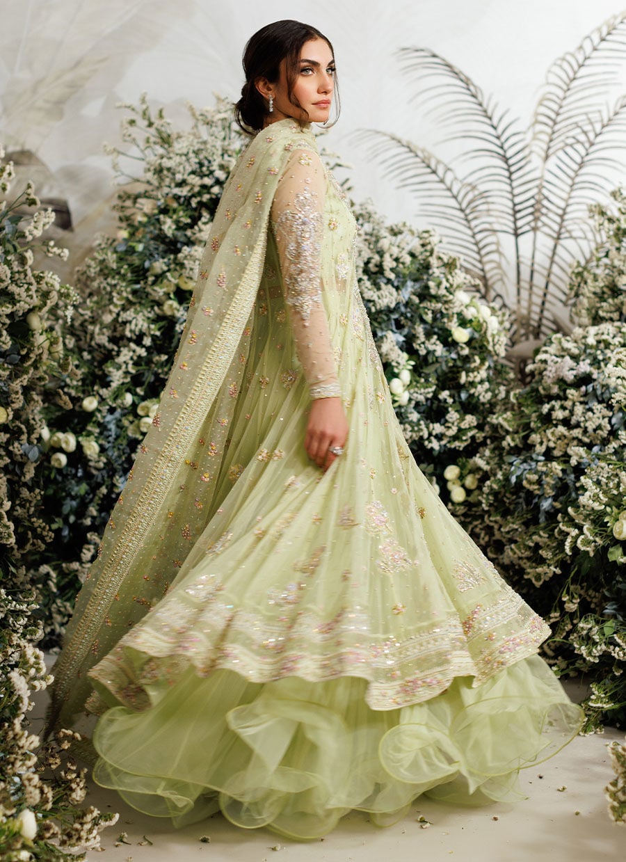 Farah Talib Aziz – Eliza Kiwi Style