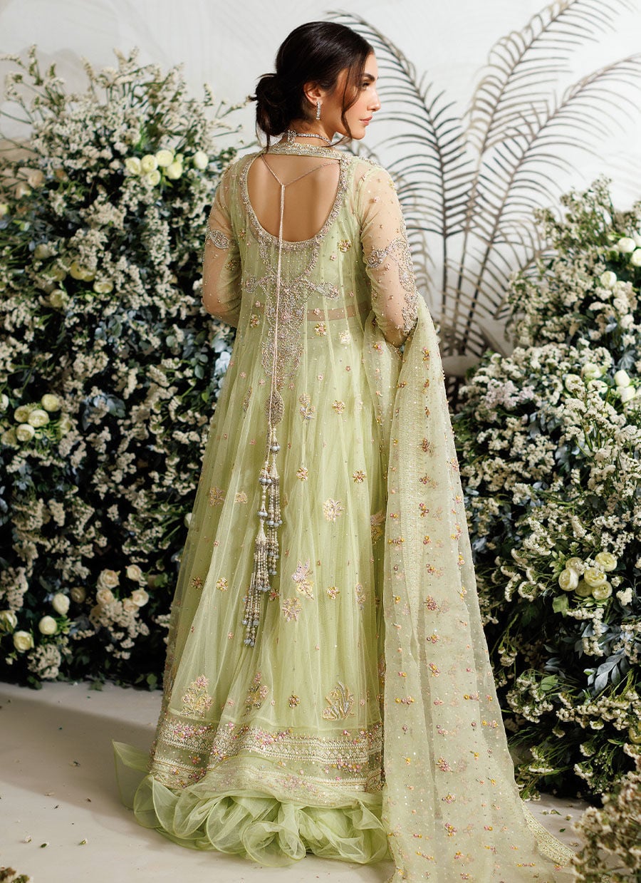 Farah Talib Aziz – Eliza Kiwi Style
