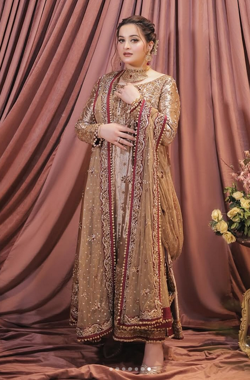 Haris Shakeel Mesuri Hand Embellished & Embroidered Maxi - J0507