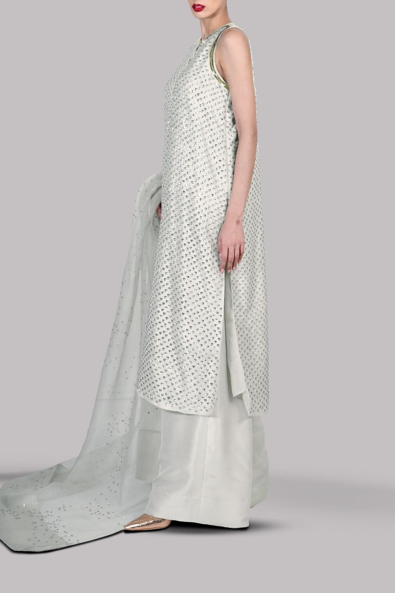 Egret Embellished Raw Silk Set