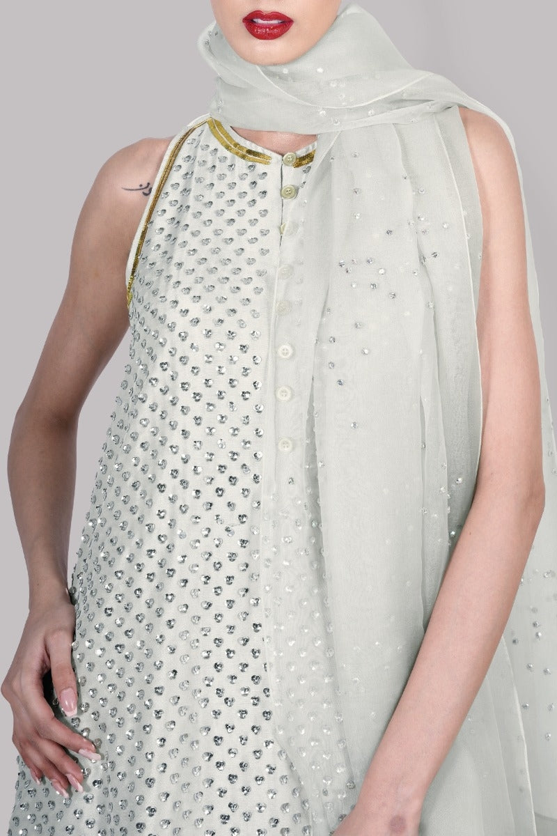 Egret Embellished Raw Silk Set