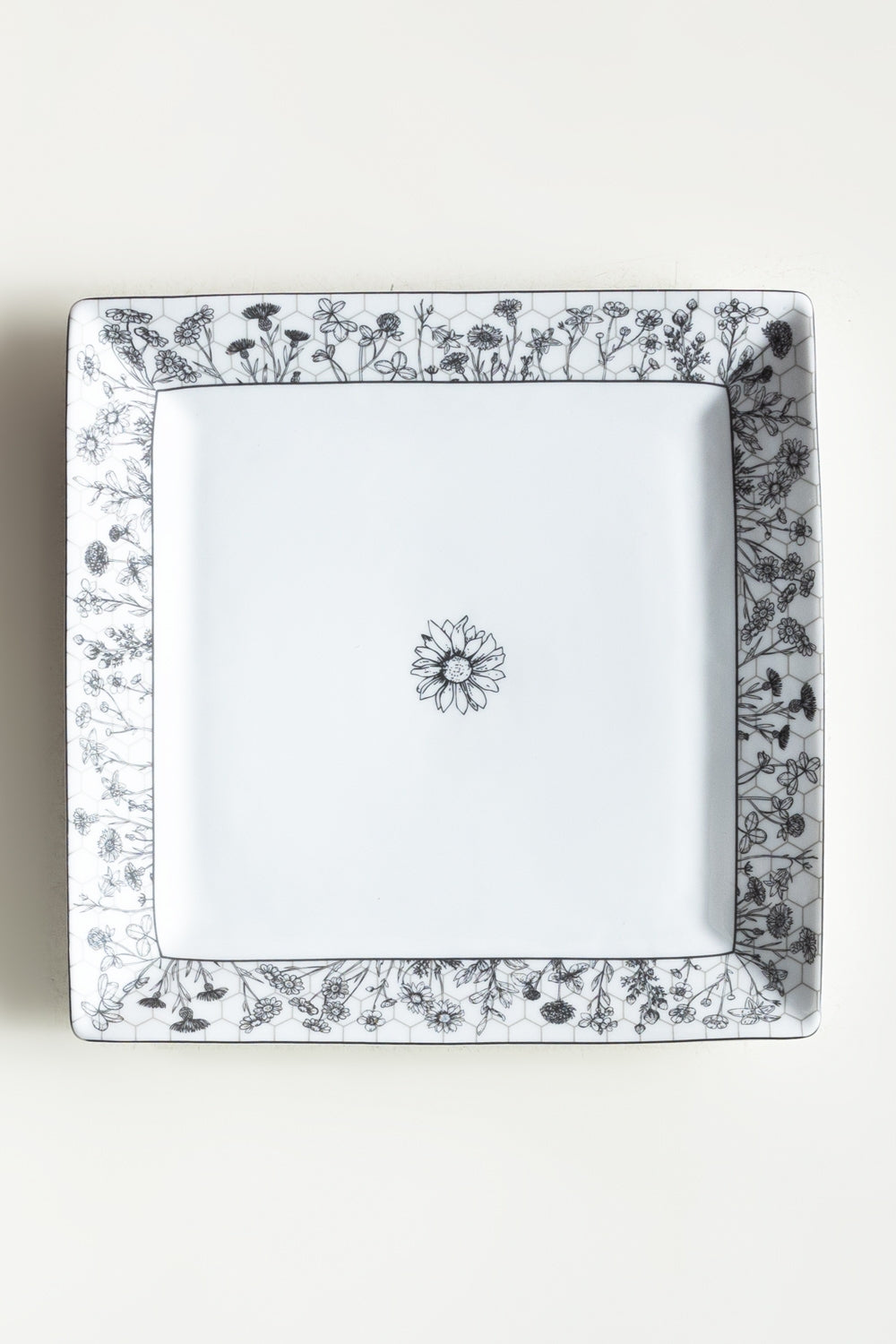 Fusion Dinner Plate