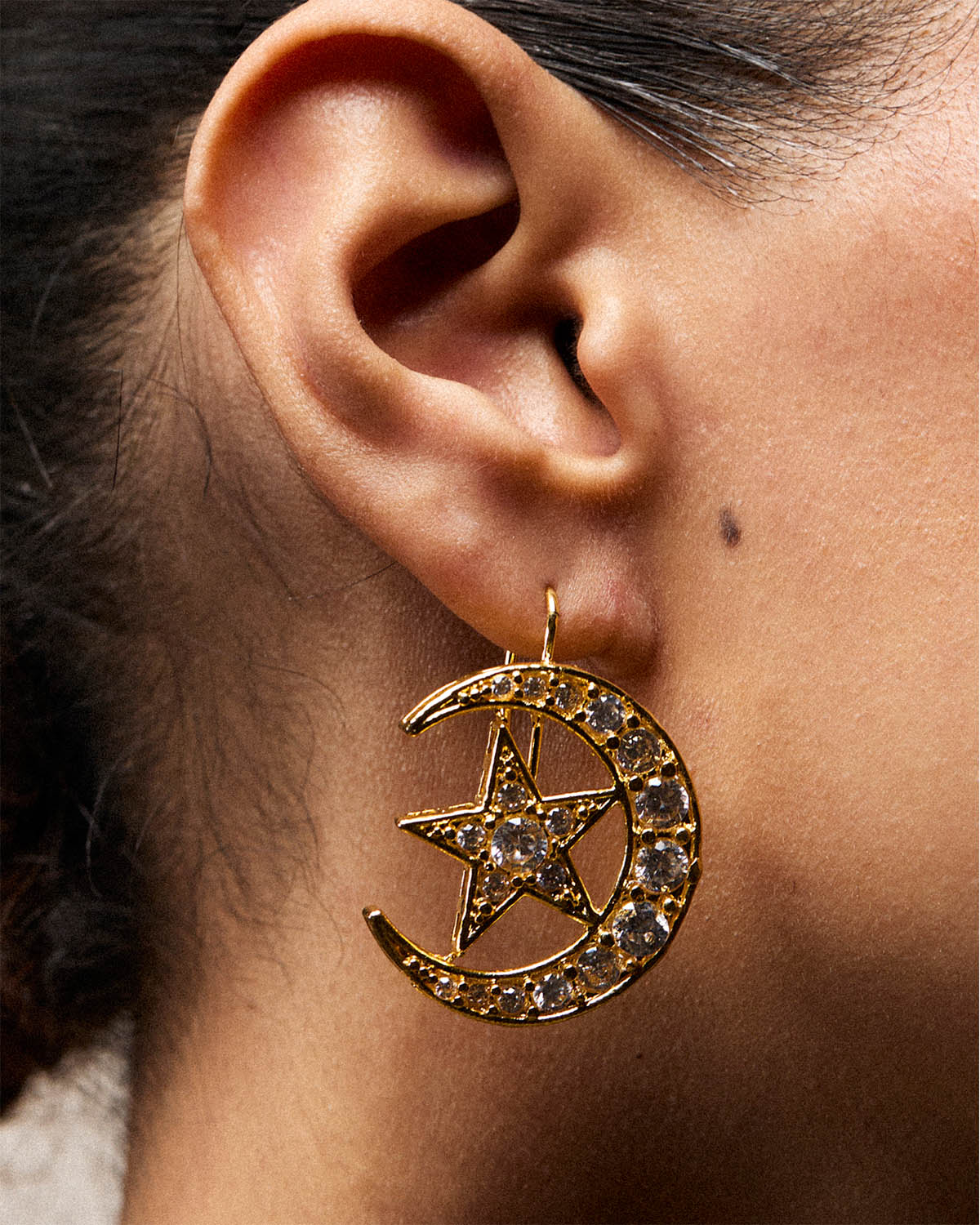 Royal Crest Earrings