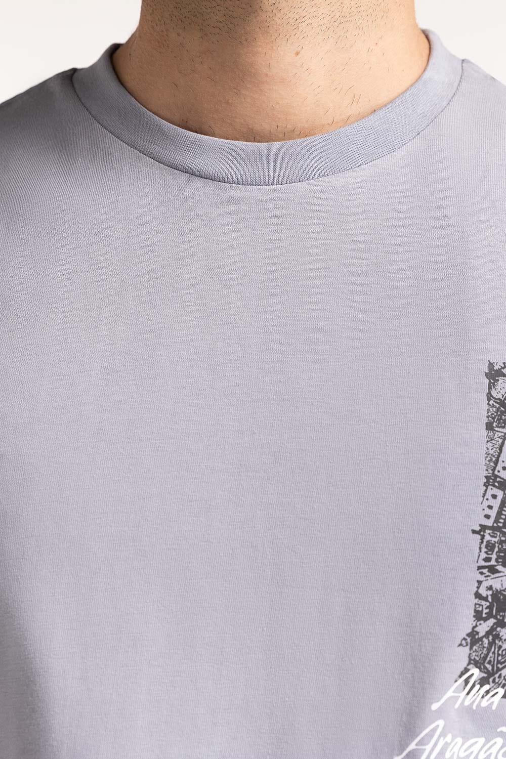 https://cdn.shopify.com/s/files/1/0706/3253/8159/files/graphic_tee_ts-cnsj24-137_2.jpg?v=1758455713