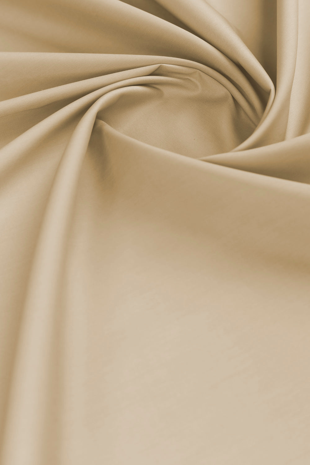 Odhani Embllished Dupatta