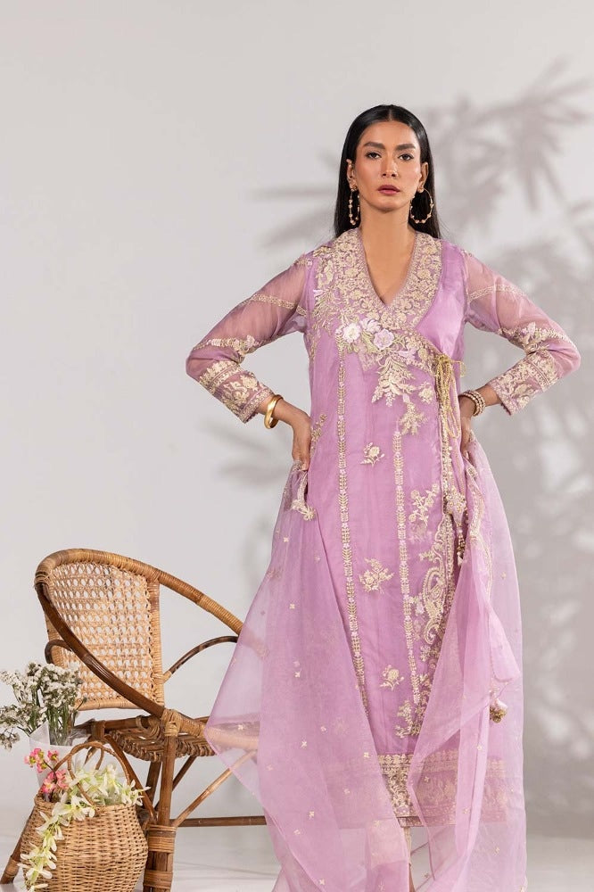 3 Piece Organza Embroidered Suit