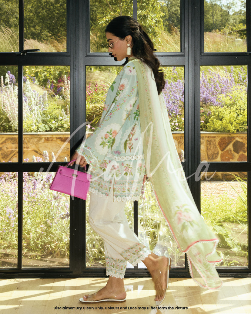 Blush Dupatta