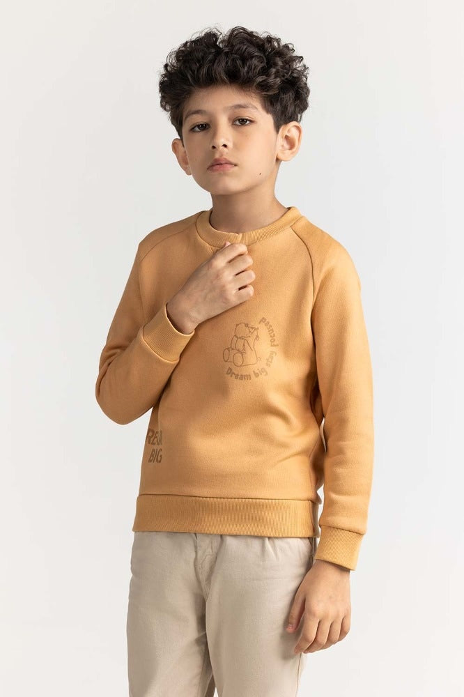 Junior Boy Clay Printed Sweatshirt