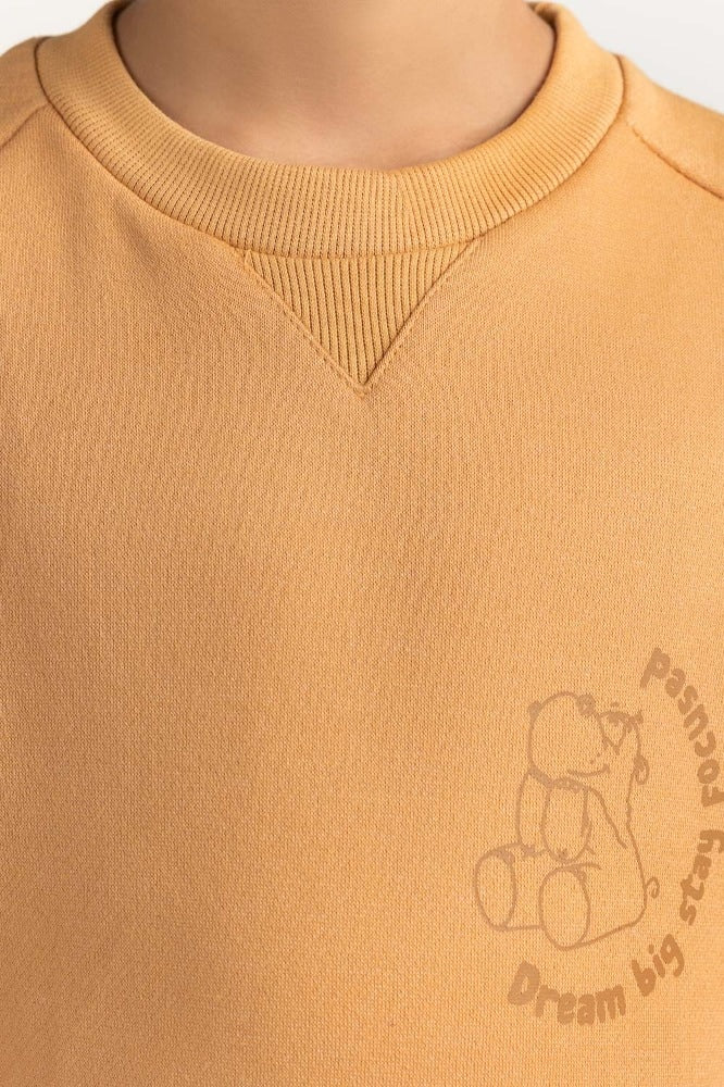 Junior Boy Clay Printed Sweatshirt
