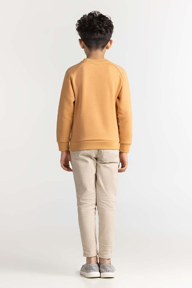 Junior Boy Clay Printed Sweatshirt