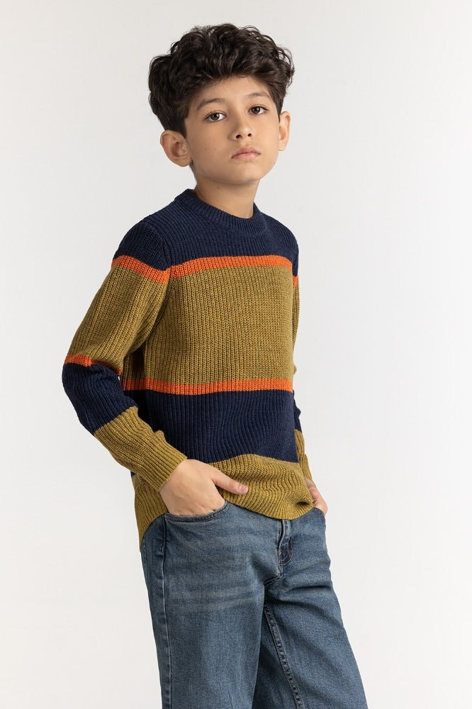 Junior Boy Multi Basic Sweater