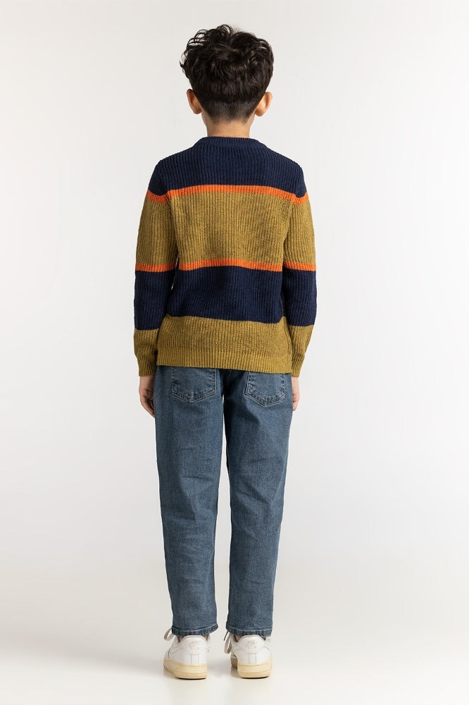 Junior Boy Multi Basic Sweater