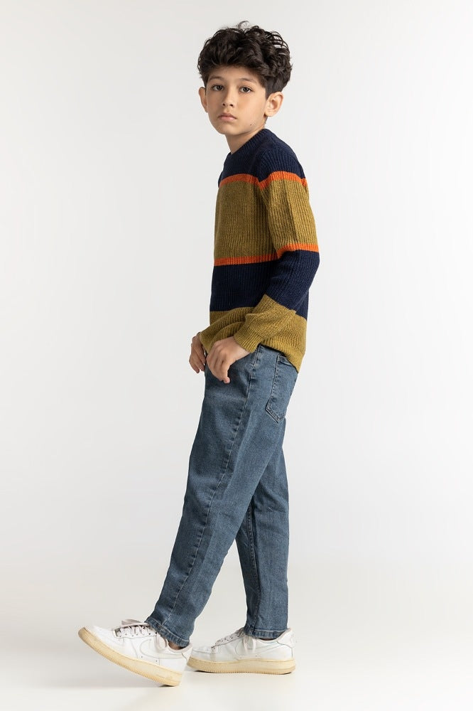 Junior Boy Multi Basic Sweater