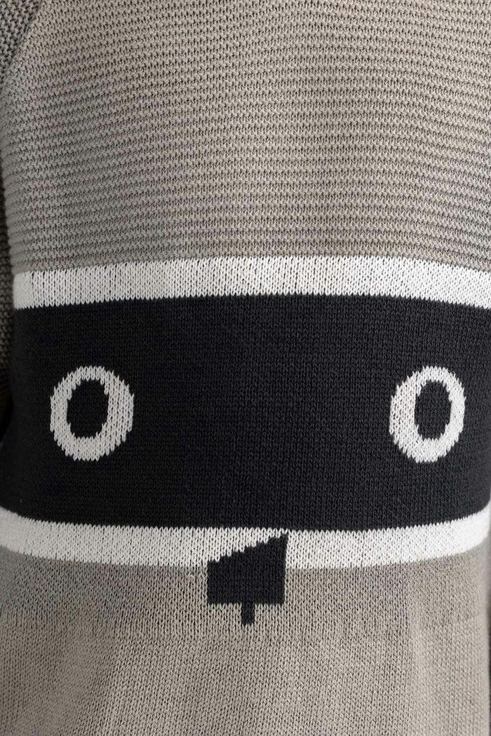 Toddler Boy Light Grey Knit Sweater