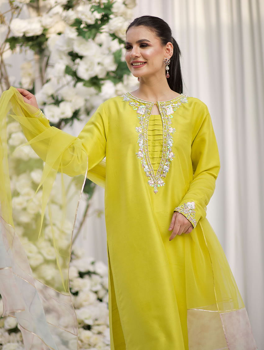 https://cdn.shopify.com/s/files/1/0591/8949/3826/files/limona_002.jpg?v=1726054083