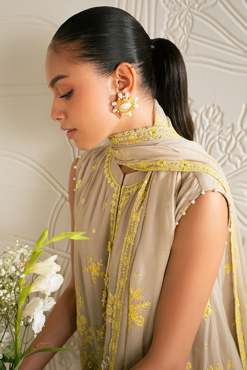 Sand Bronze-4Pc Chiffon Embroidered Suit