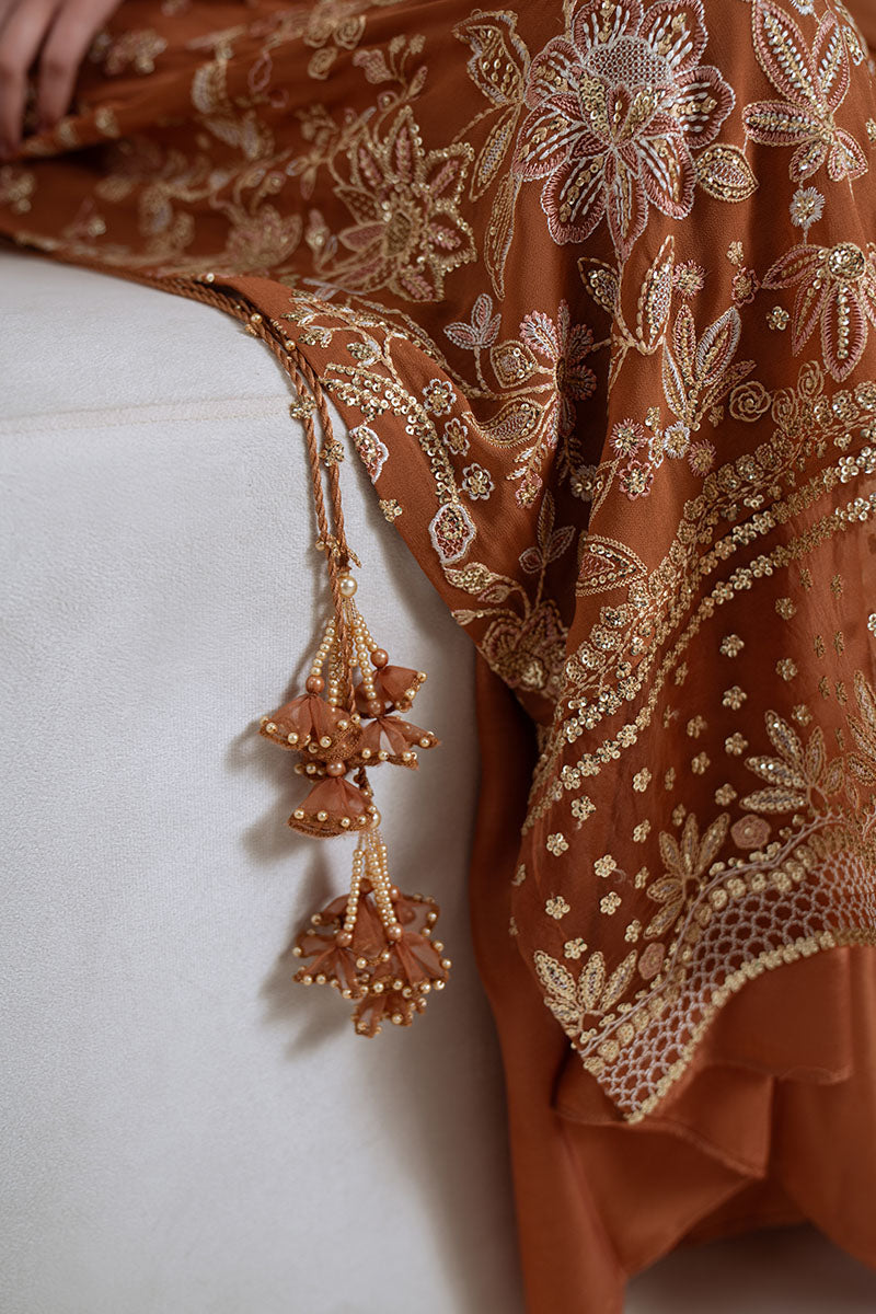Rust Ember-4Pc Chiffon Embroidered Suit