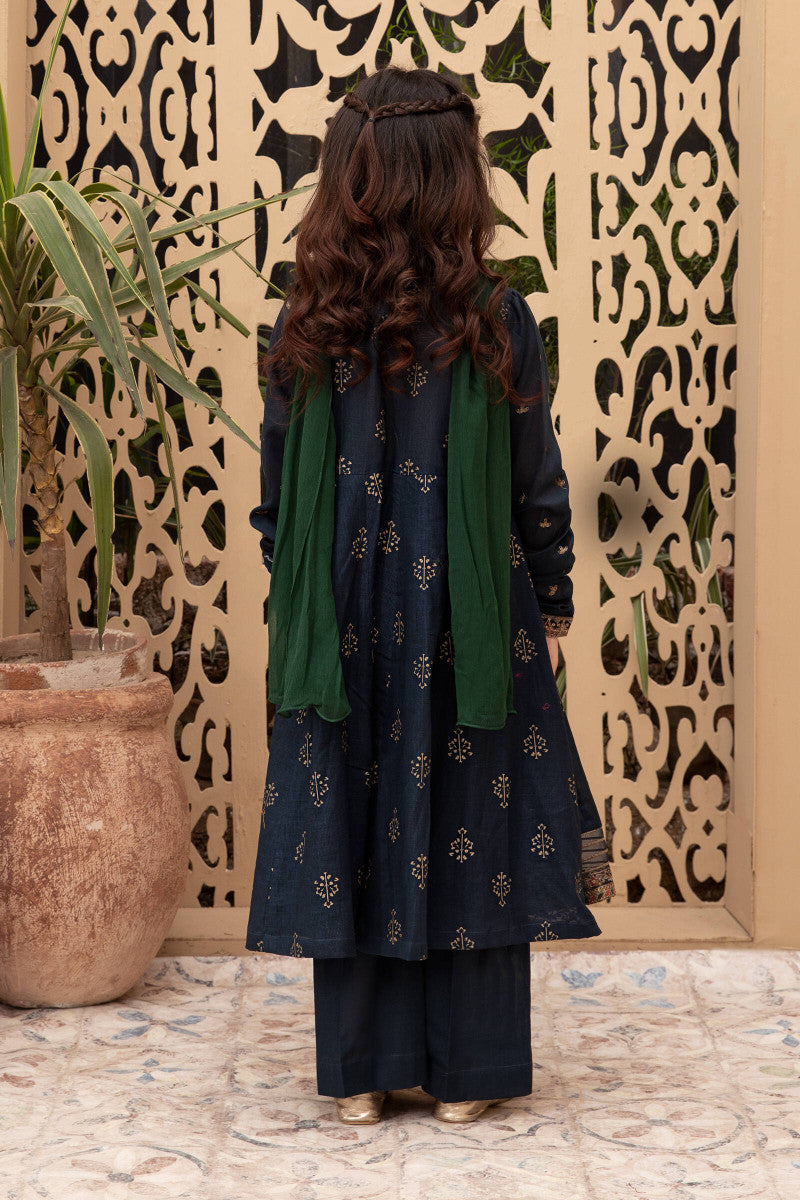 2 Piece Embroidered Lawn Suit