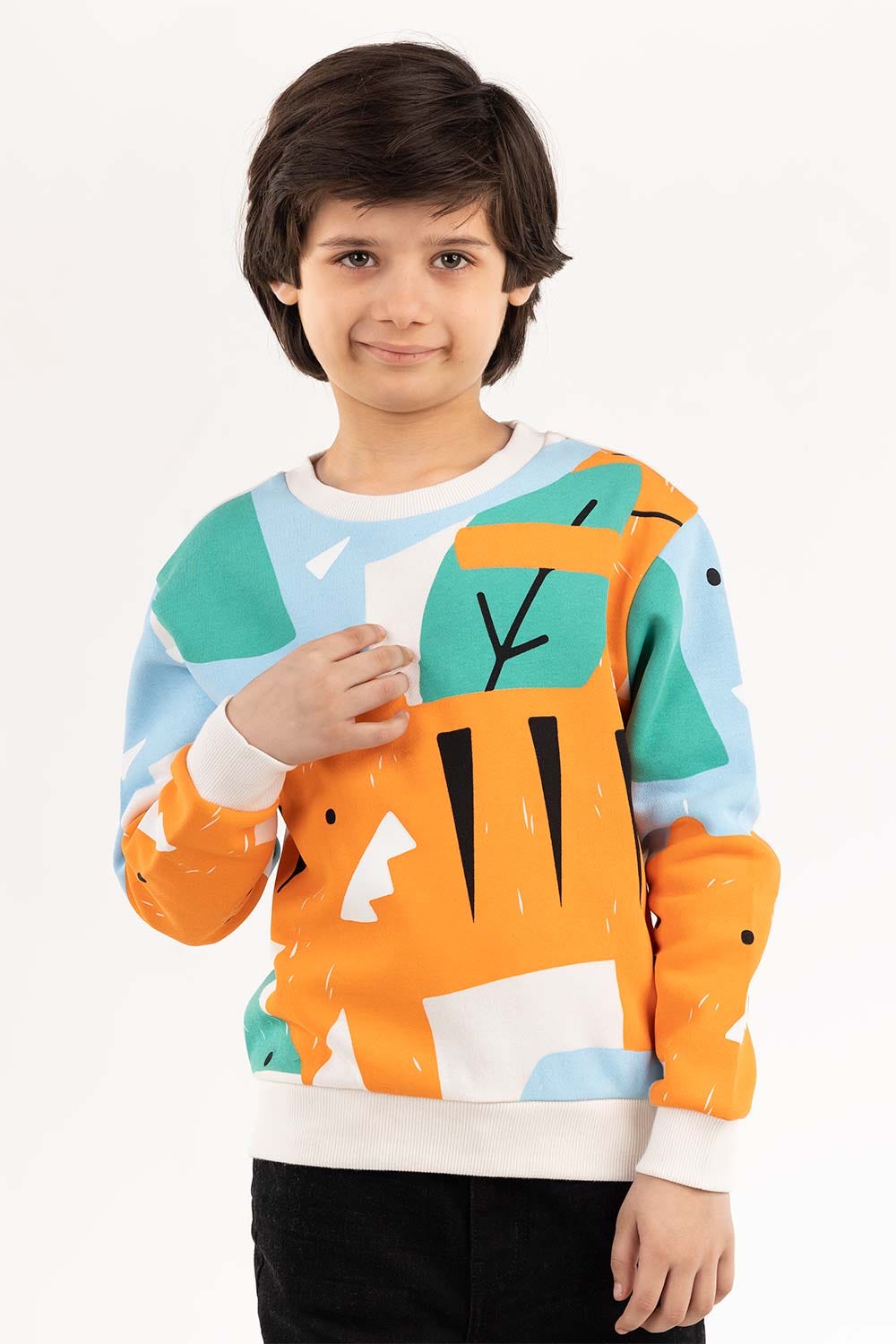 Toddler Boy Multi Sweatshirt
