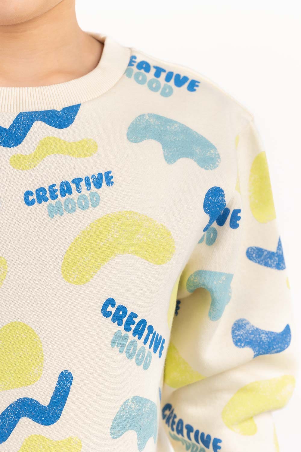 Toddler Boy Multi Sweatshirt