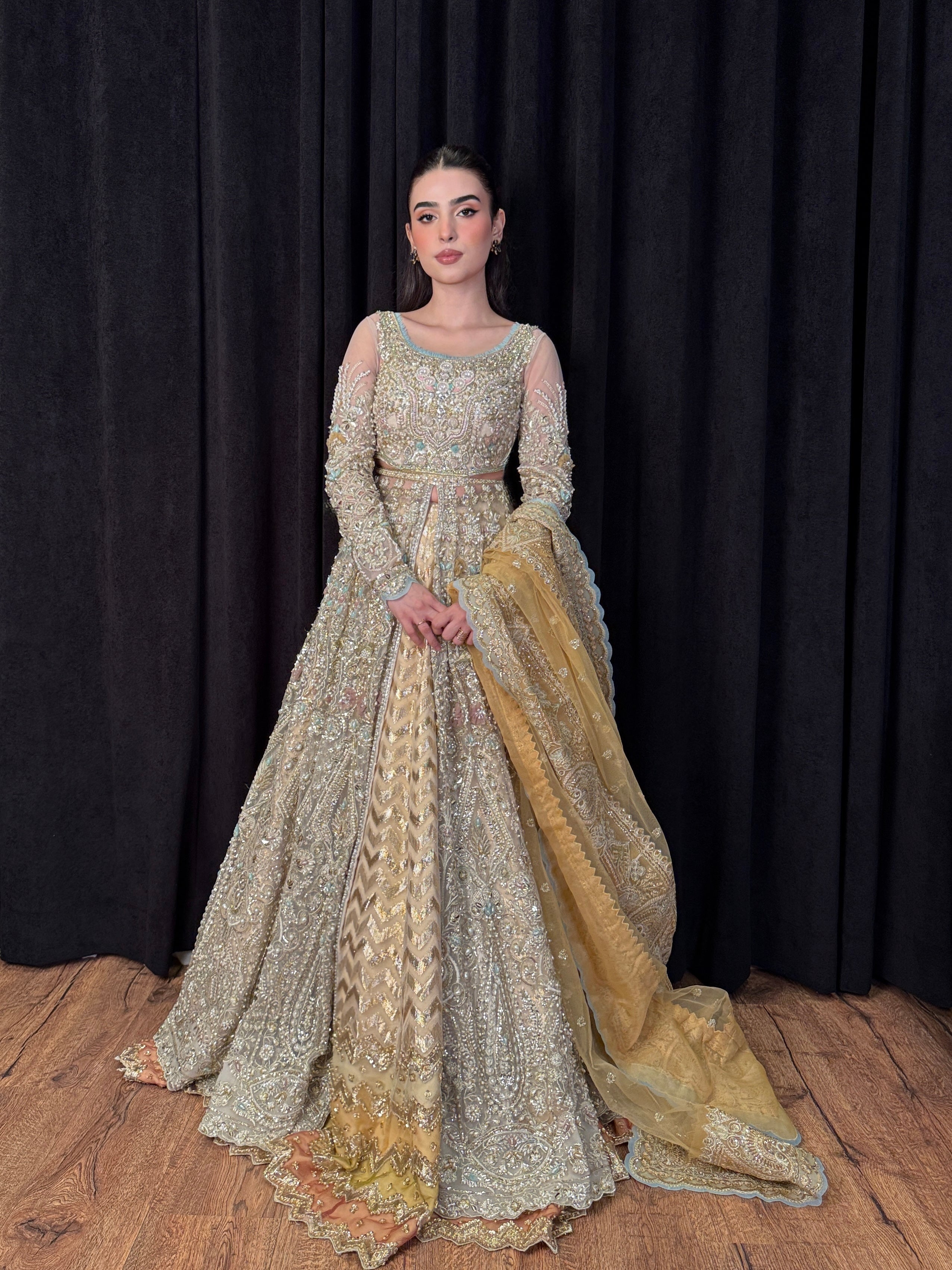 https://cdn.shopify.com/s/files/1/0523/4327/5696/files/mysie-by-tahira-tansa-champagne-net-dress-4.jpg?v=1757422719