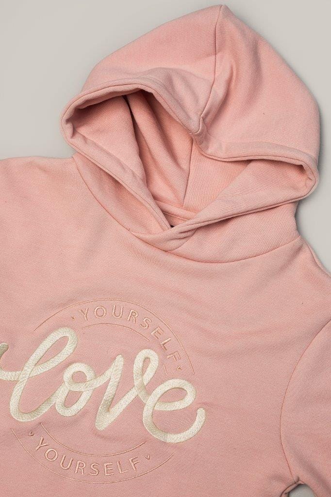 Embroidered Pull over Hoody