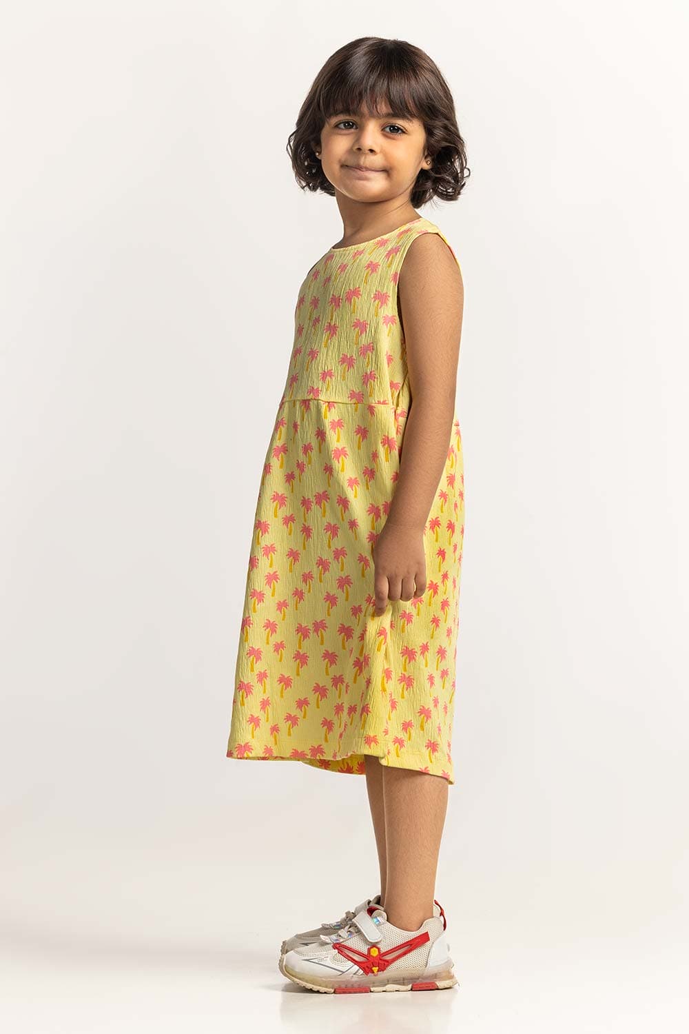 Round Neck Printed Dress