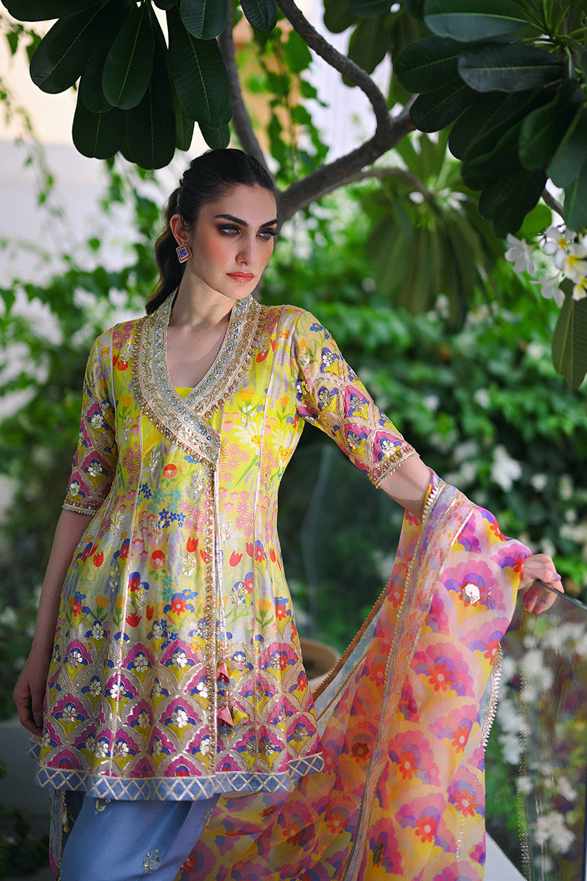 https://cdn.shopify.com/s/files/1/0588/3661/5221/files/sania-2-3.jpg?v=1725605644