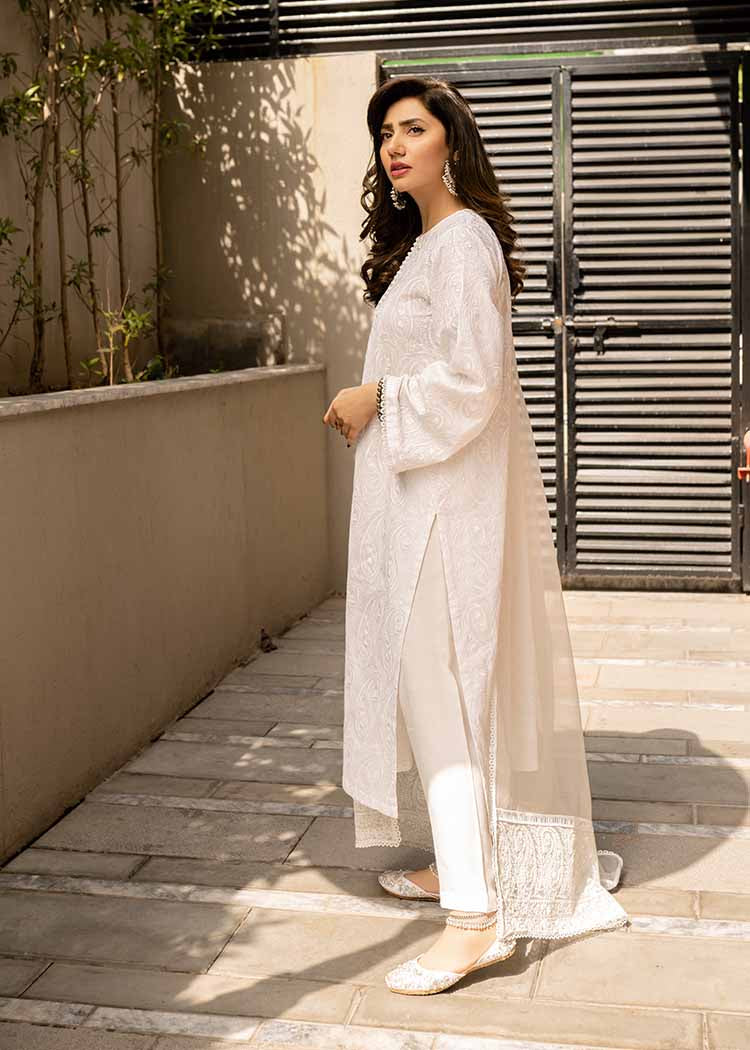 https://cdn.shopify.com/s/files/1/3006/7522/products/sfk1.jpg?v=1662555281