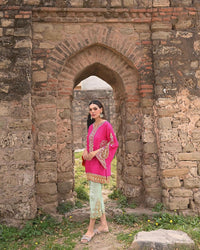 Shendi Festive wear by Alizay Saad