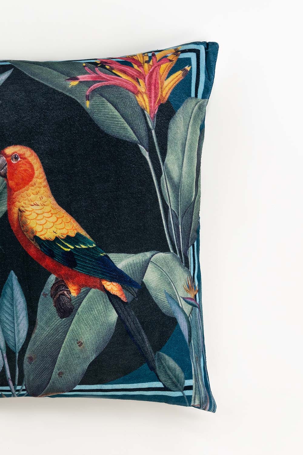 Parrot Digital Velveteen Square Cushion Cover