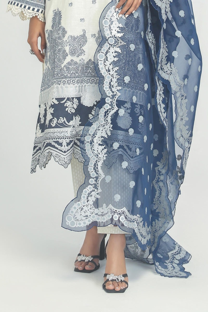 Design 12A Summer Vital '24 Unstitched
