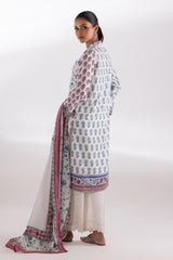 Stitched Basic Shirt + Dupatta