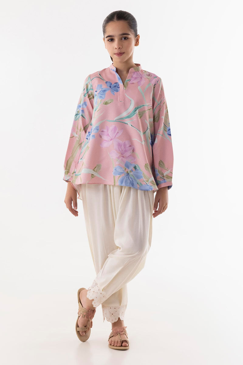 Stitched Organza Embroidered Suit