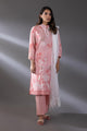 Stitched Printed Lawn Suit