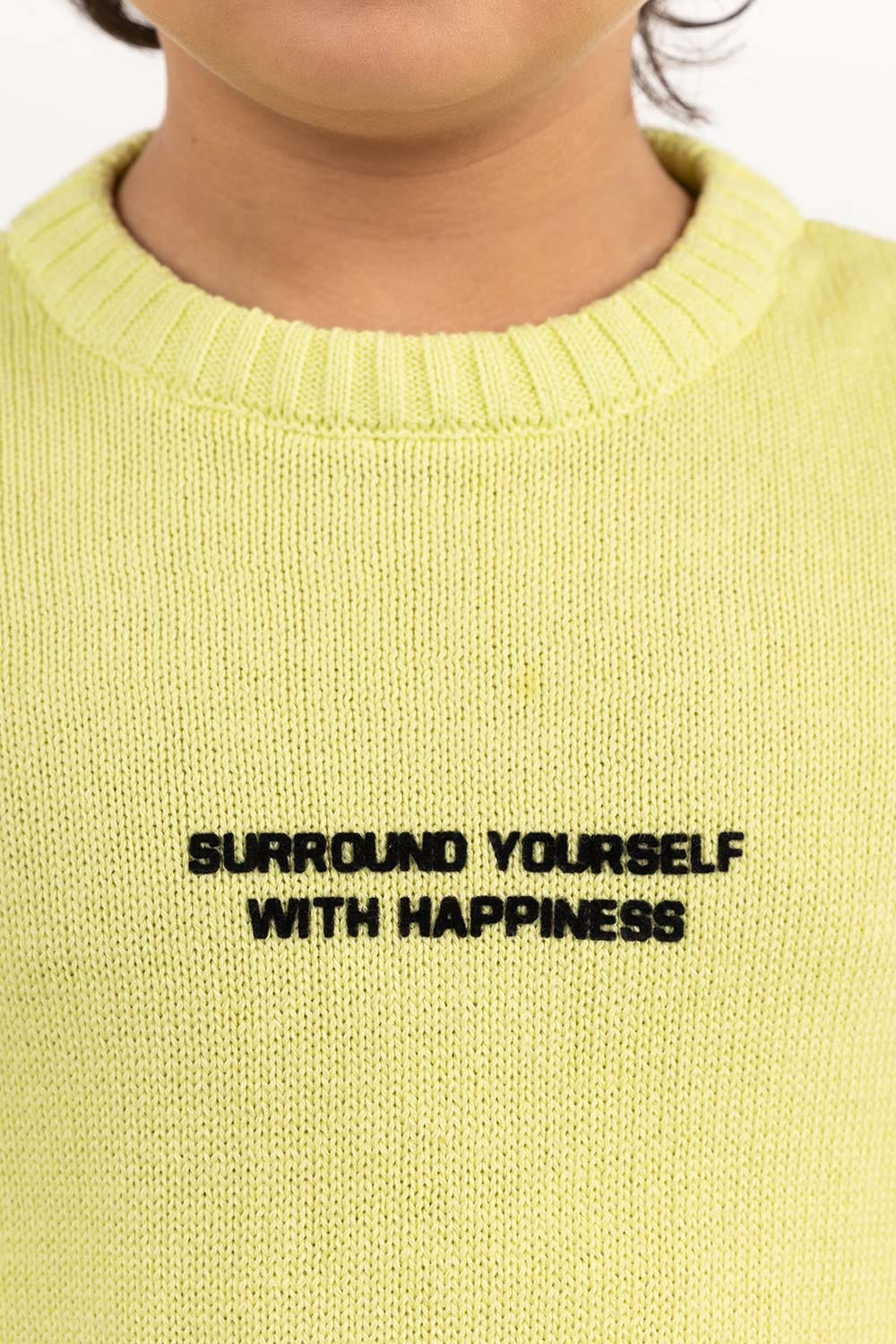 Toddler Boy Sunny Lime Sweater