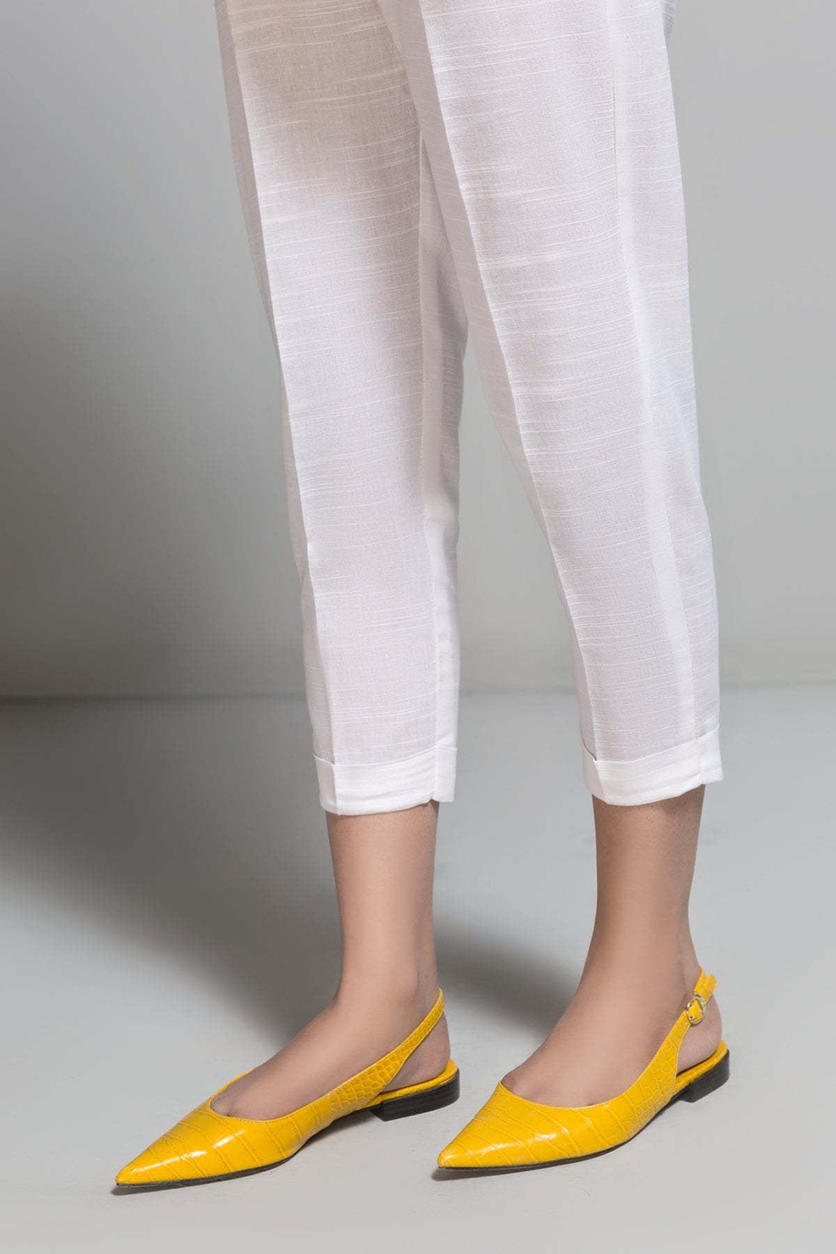https://cdn.shopify.com/s/files/1/2277/5269/products/t5.jpg?v=1644667759