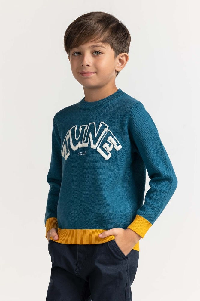 Toddler Boy Blue Basic Sweater