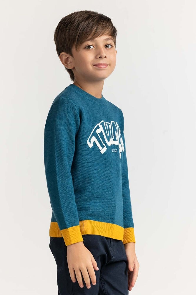 Toddler Boy Blue Basic Sweater